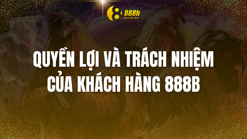 dieu-khoan-va-dieu-kien-888b-5